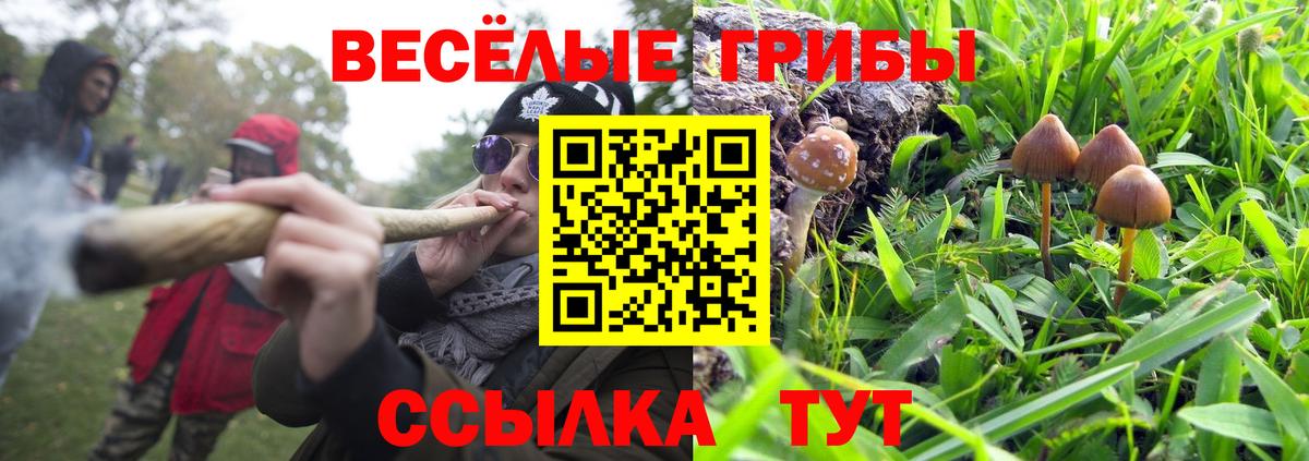 Галлюциногенные грибы мицелий  Вход с VPN  Калининград  Псилоцибиновые грибы Psilocybine cubensis 