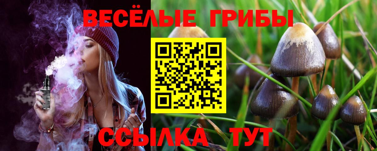 Псилоцибиновые грибы прущие грибы Калининград
